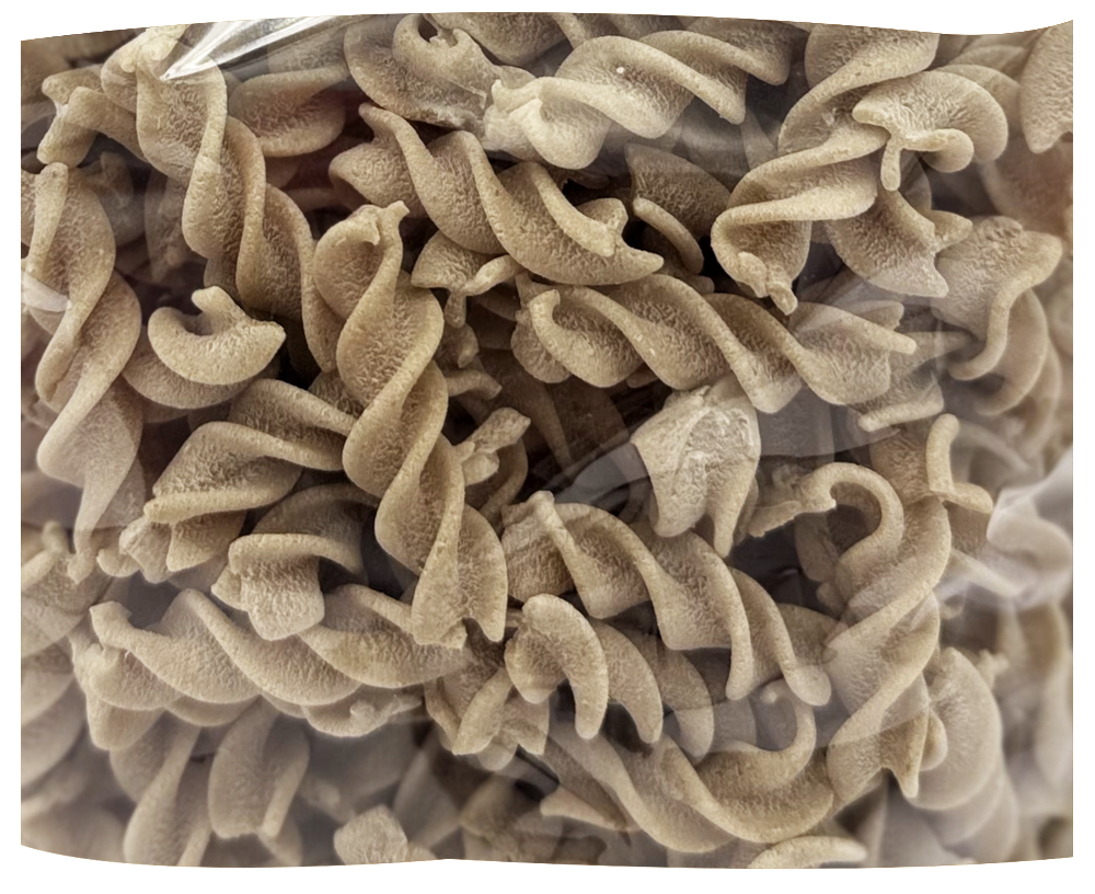 grano_senatpre_cappelli